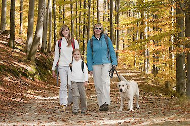 Wanderurlaub im Naturpark Bayerischer Wald